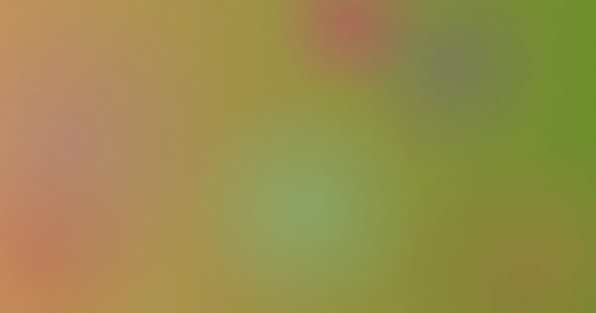 沈殿霞测评：避坑流程清单